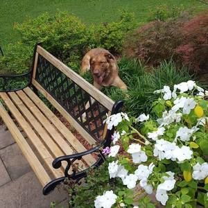 Meet your Posher, Paula